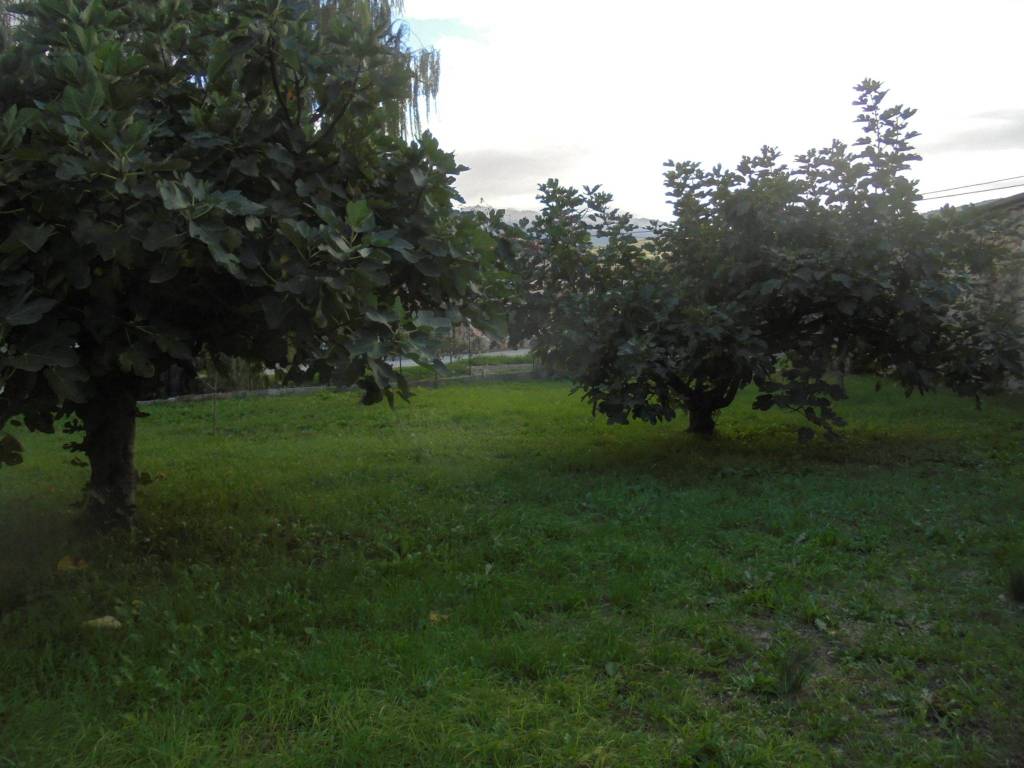 Rustico / casale a Cantalupo nel sannio - Foto 5