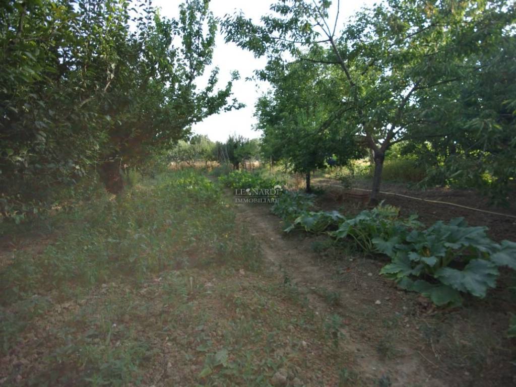 Rustico / casale a Sansepolcro - Foto 2