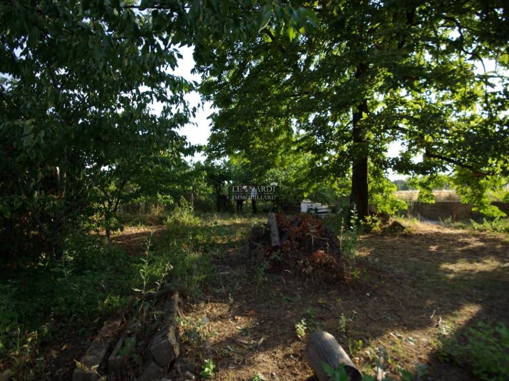 Rustico / casale a Sansepolcro - Foto 5
