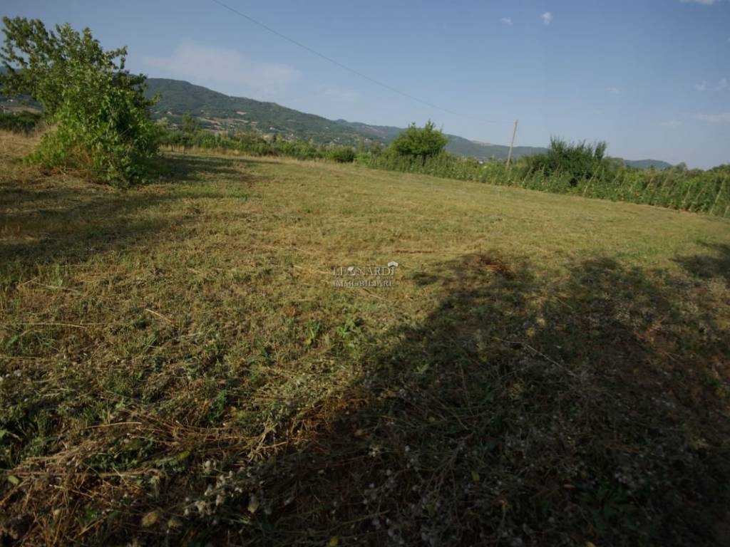 Terreno a Sansepolcro - Foto 3