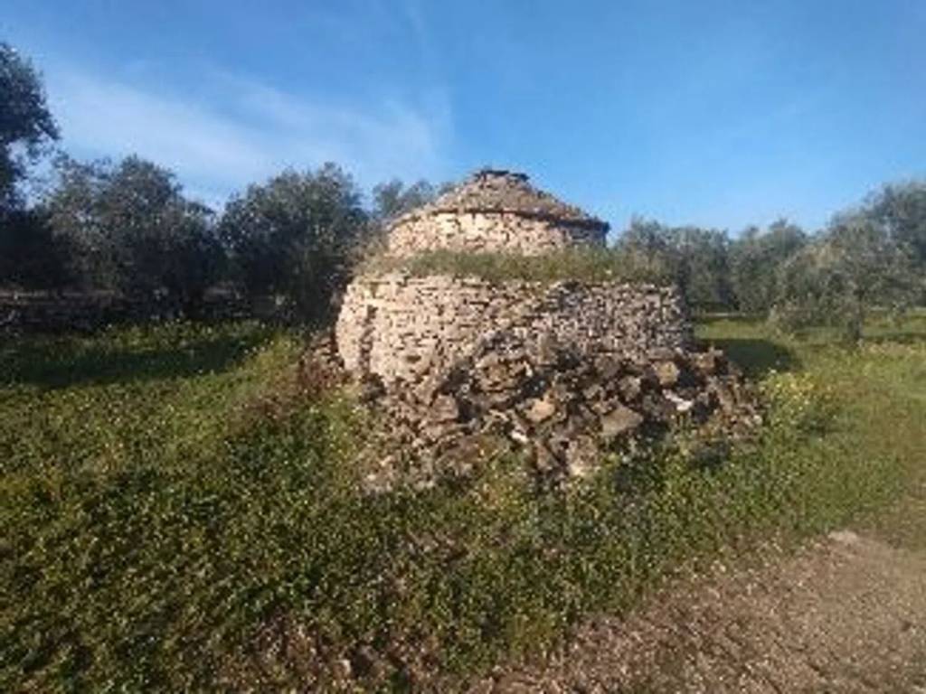 Terreno a Molfetta - Foto 3