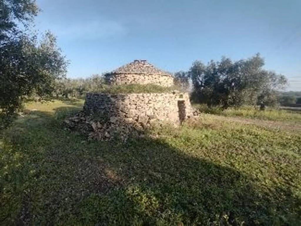 Terreno a Molfetta - Foto 4