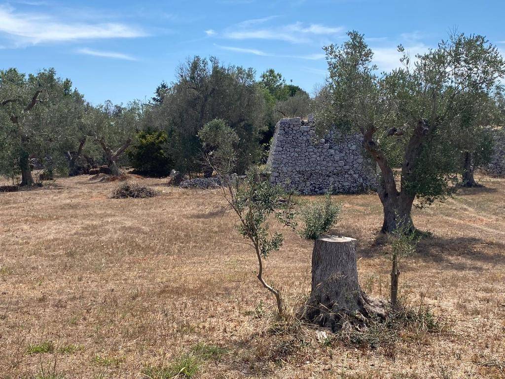 Terreno a Muro leccese - Foto 2