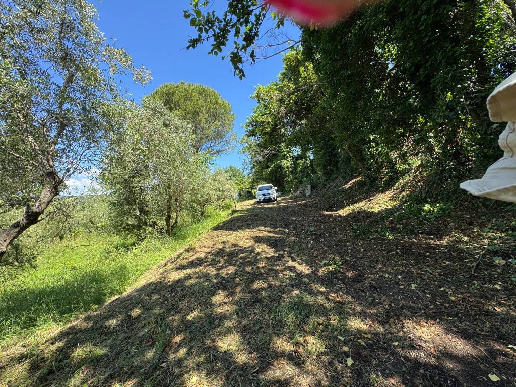 Rustico / casale a Civitanova marche in Via Cavallino - Foto 3
