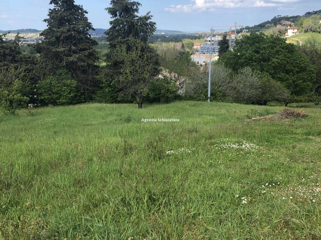 Rustico / casale a Vallefoglia - Foto 5