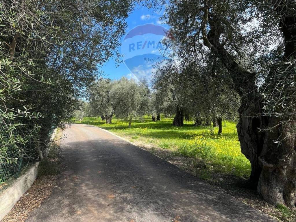 Terreno a Vieste in Località Pilone Del Monaco - Foto 2