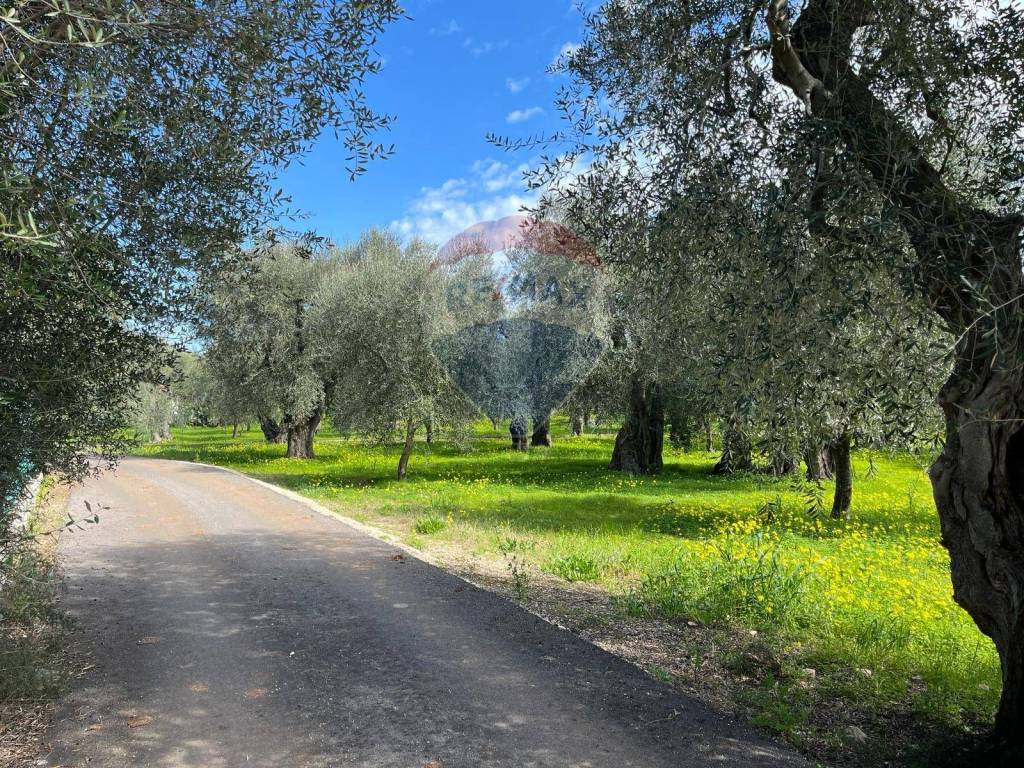 Terreno a Vieste in Località Pilone Del Monaco - Foto 3