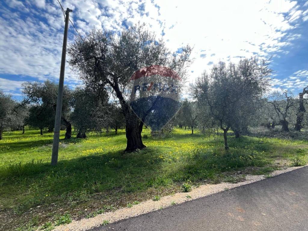 Terreno a Vieste in Località Pilone Del Monaco - Foto 5