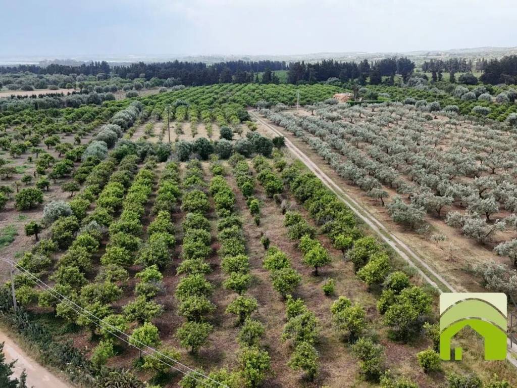 Terreno a Noto in Contrada Roveto S.N.C. - Foto 2
