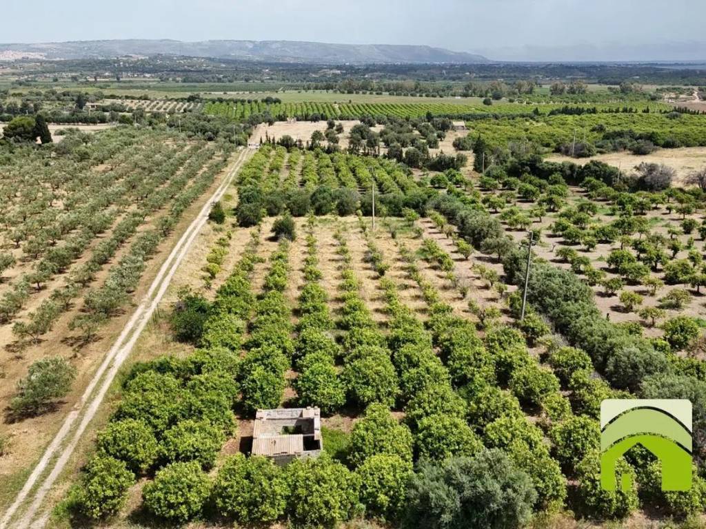 Terreno a Noto in Contrada Roveto S.N.C. - Foto 3