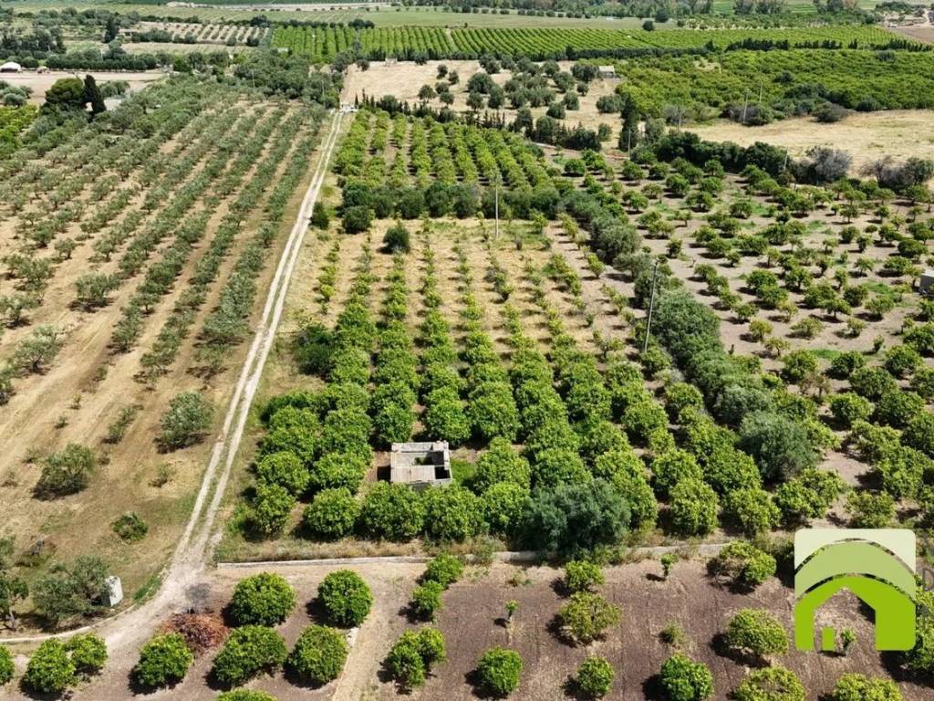 Terreno a Noto in Contrada Roveto S.N.C. - Foto 5