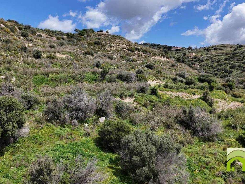 Terreno a Noto - Foto 3