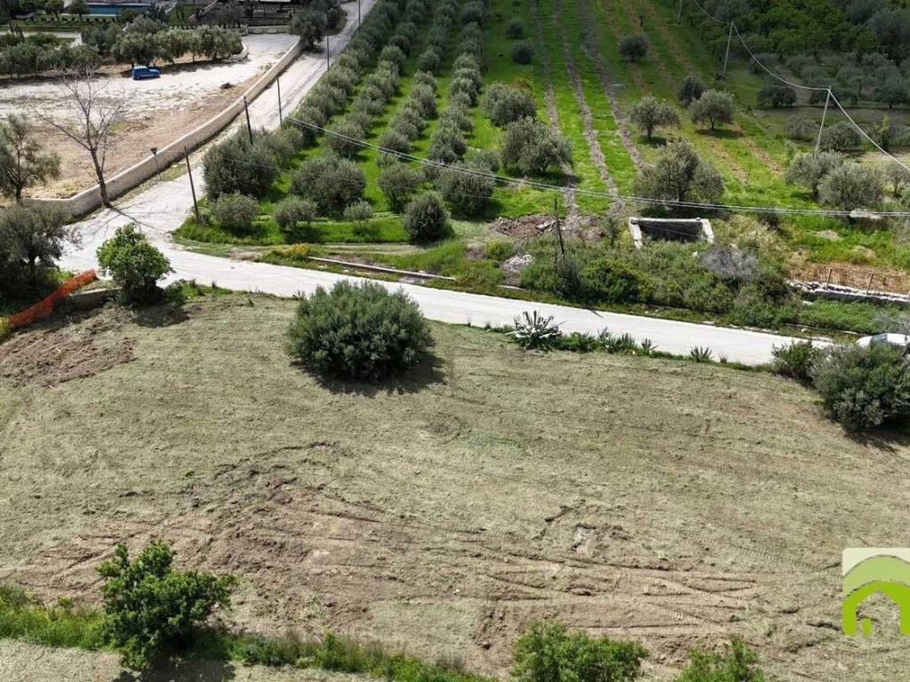 Terreno a Noto - Foto 4