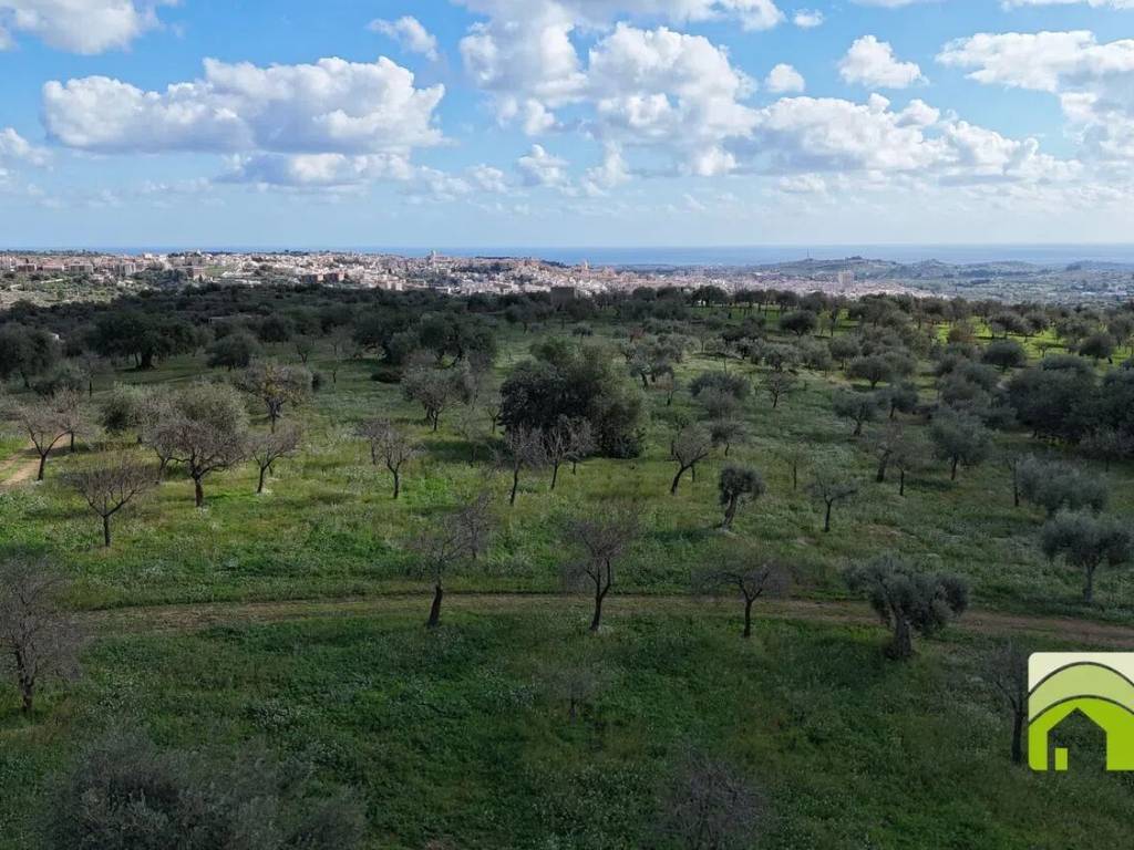 Terreno a Noto - Foto 2