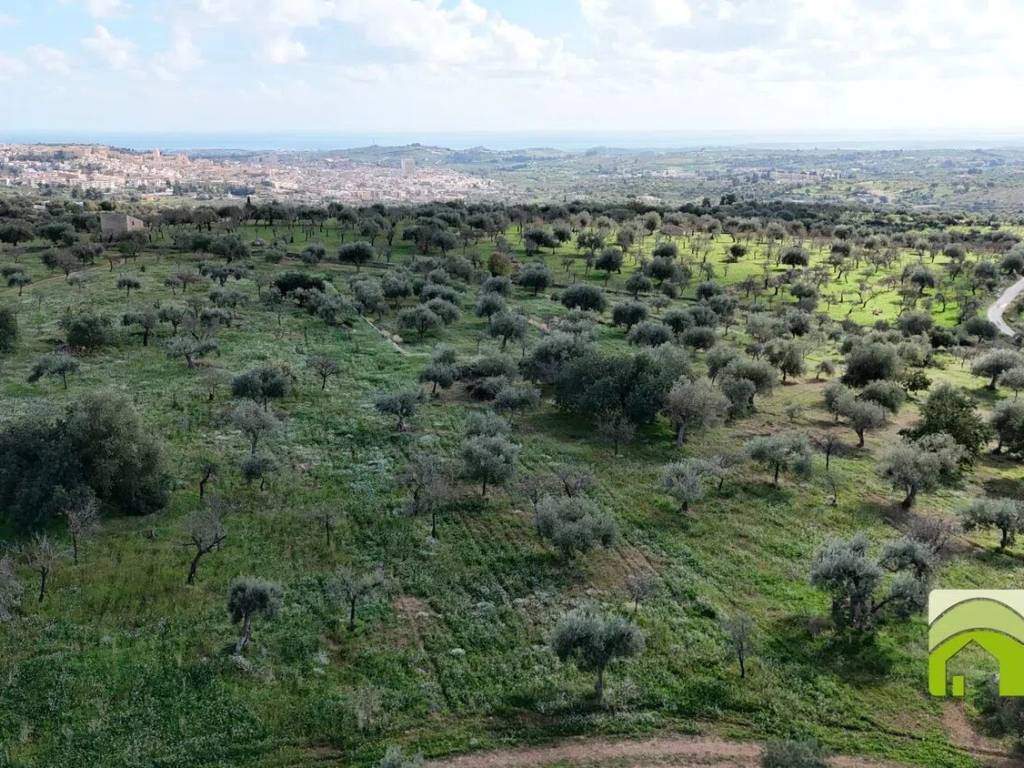 Terreno a Noto - Foto 3
