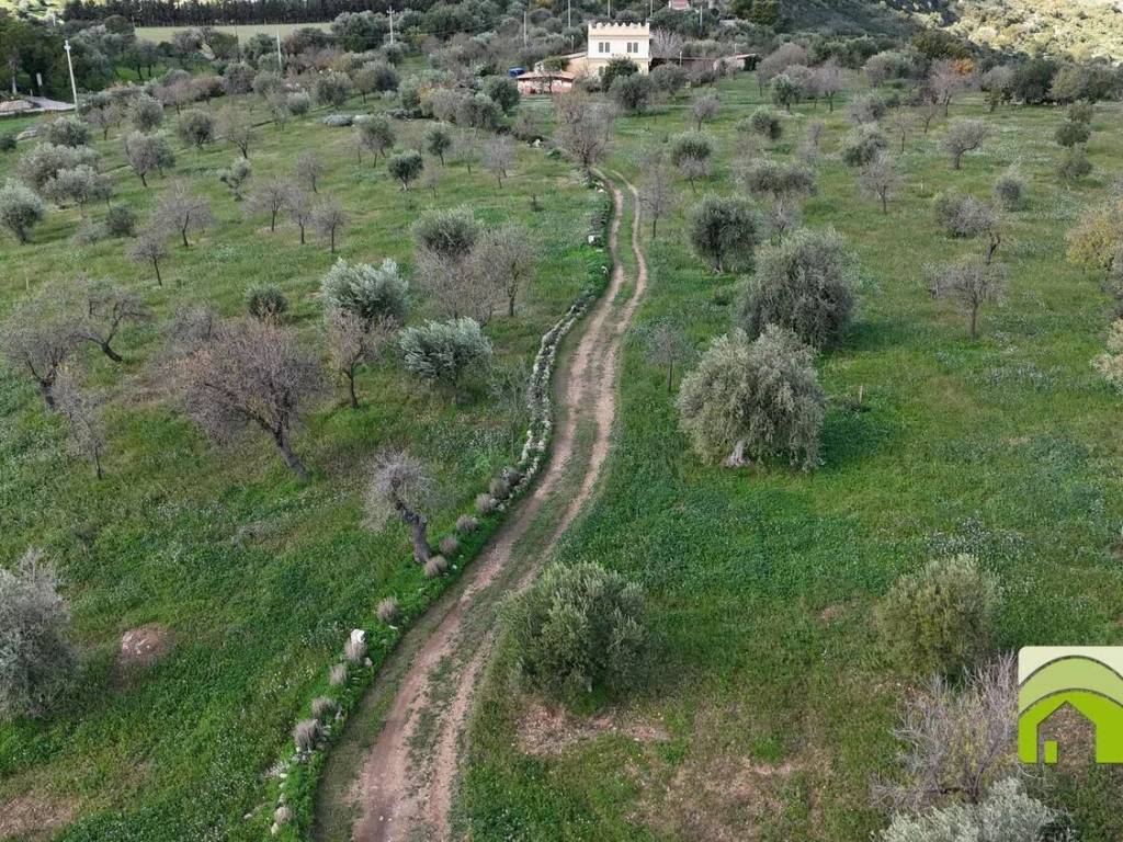 Terreno a Noto - Foto 4