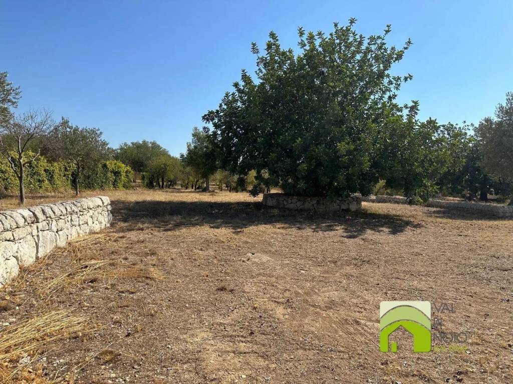 Terreno a Noto - Foto 3
