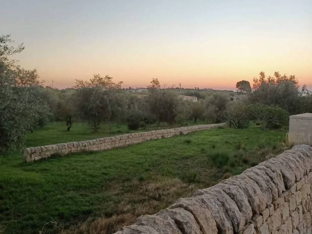 Terreno a Noto - Foto 4