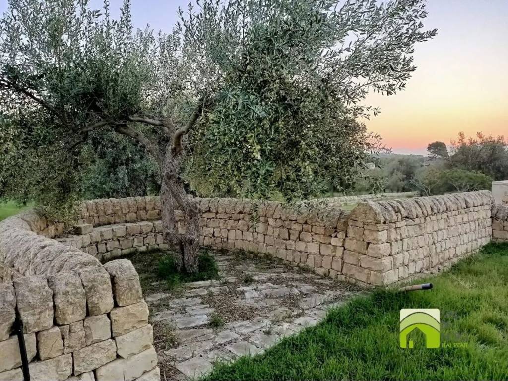Terreno a Noto - Foto 5