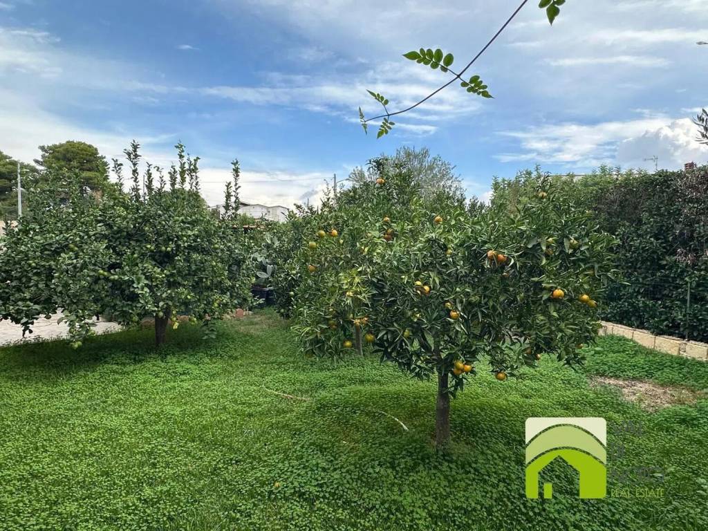 Villa a Noto in Lido Di Noto S.N.C. - Foto 5