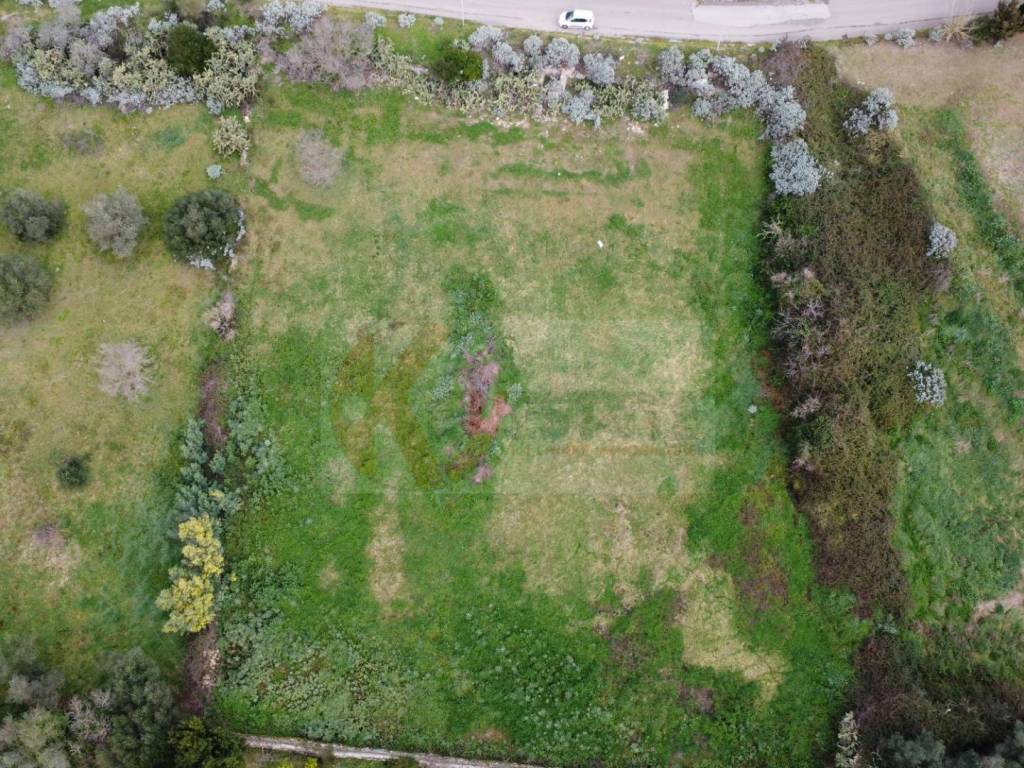 Terreno a Ploaghe - Foto 5