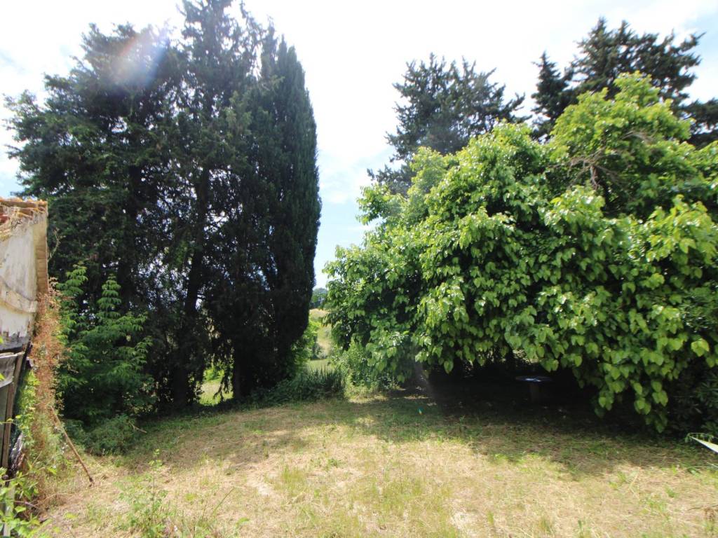 Rustico / casale a Monsano - Foto 5