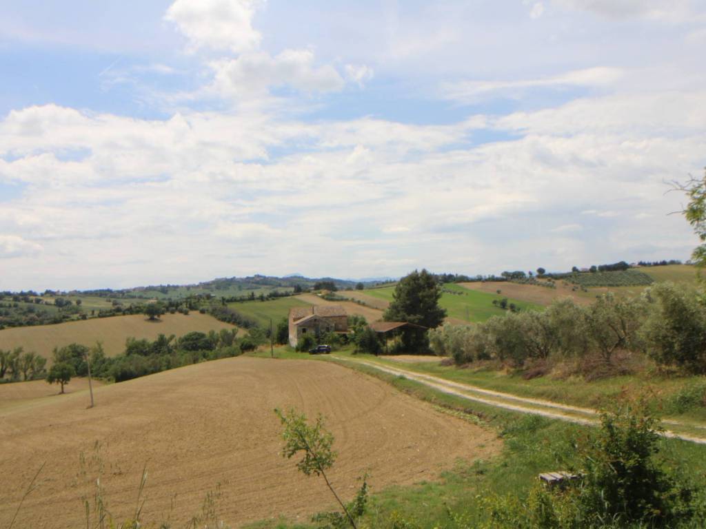 Rustico / casale a Monte san vito - Foto 3