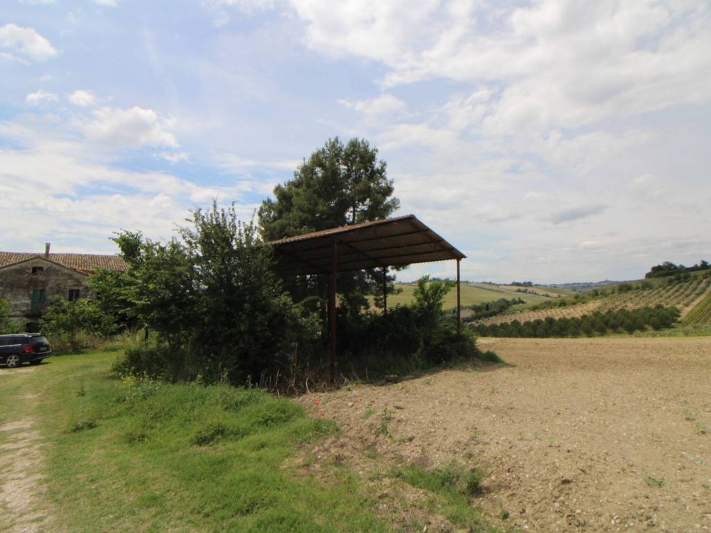 Rustico / casale a Monte san vito - Foto 4
