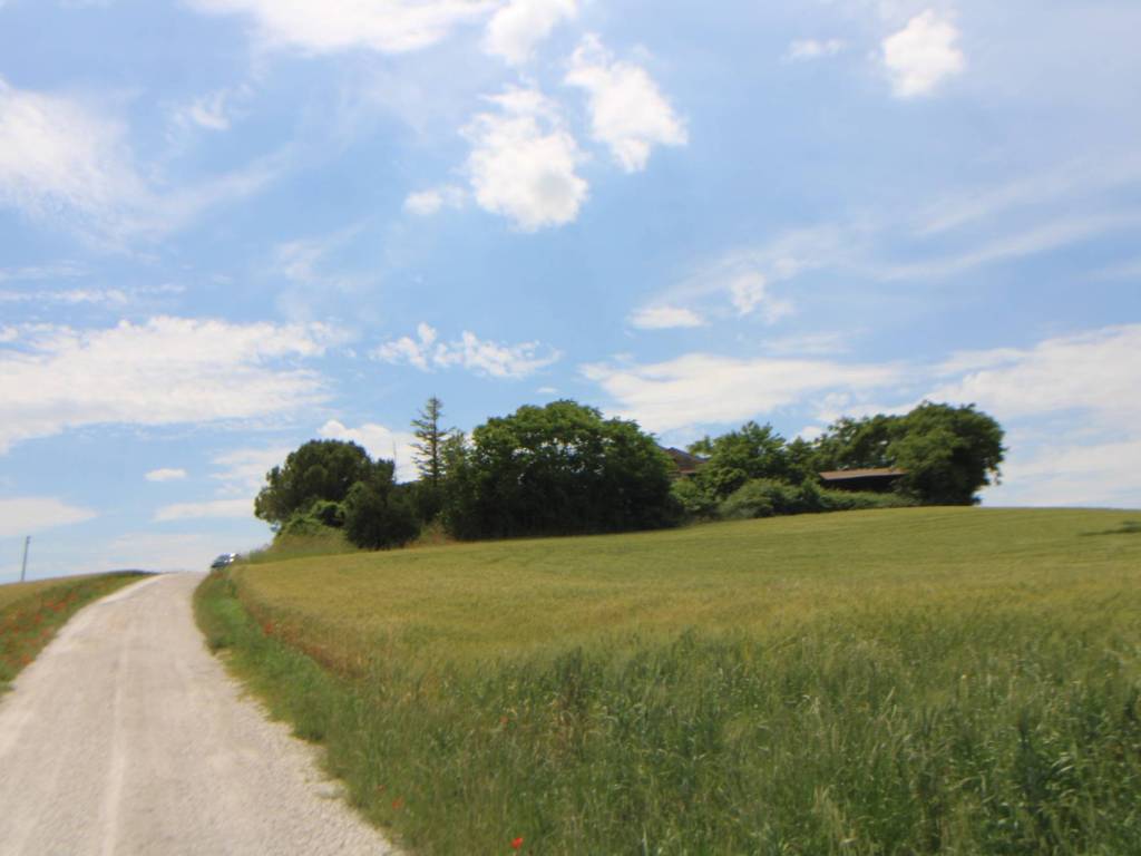 Rustico / casale a Monsano - Foto 4