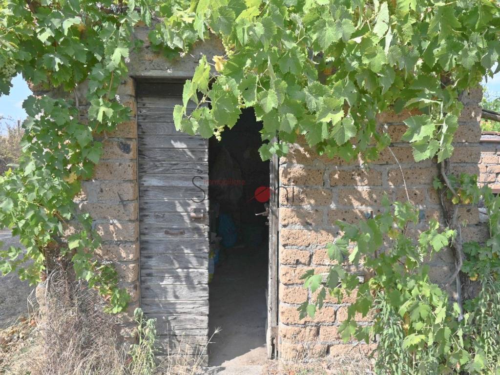 Immobile a Viterbo in Via della Stazione, 69 - Foto 4