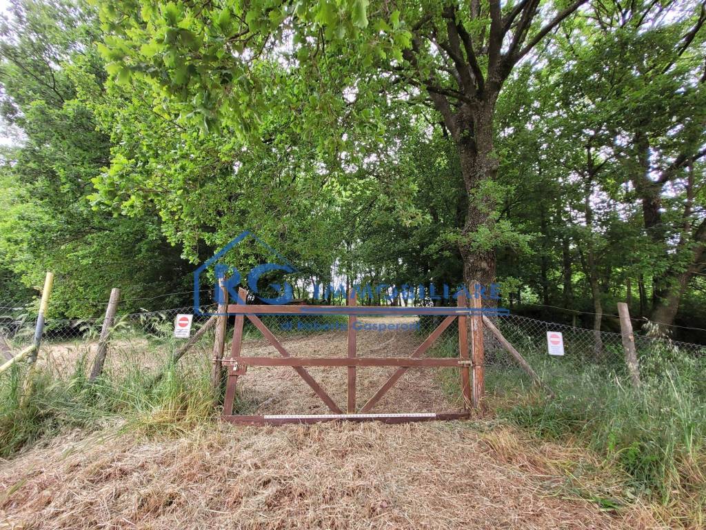 Terreno a Lubriano in Località casa Bassa - Foto 2