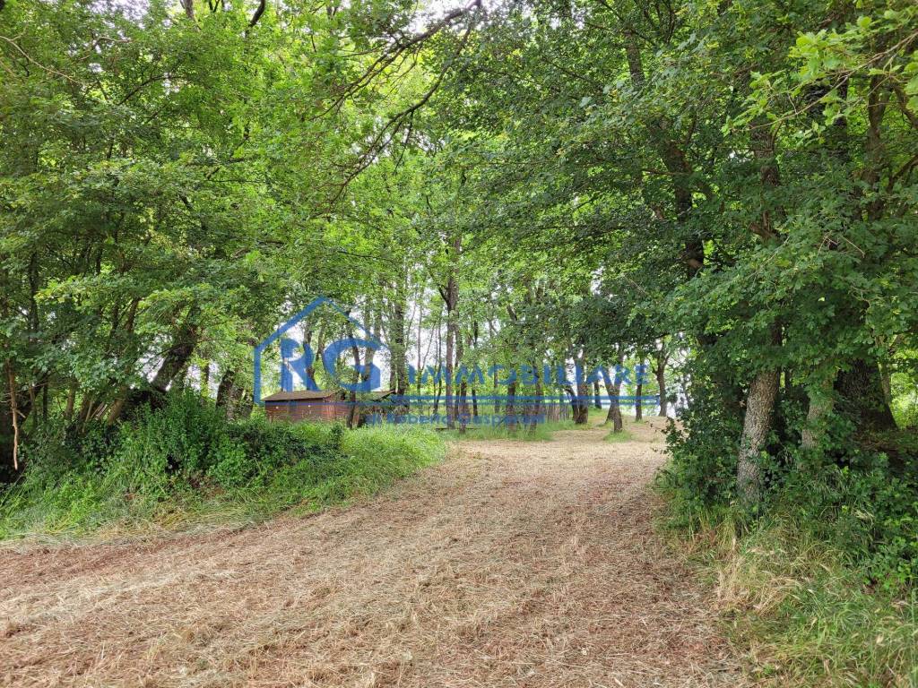 Terreno a Lubriano in Località casa Bassa - Foto 4