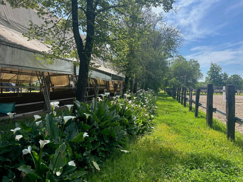 Rustico / casale a Varmo - Foto 4