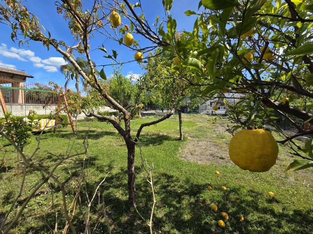 Terreno a Nocera inferiore in Via Galileo Galilei, 44 - Foto 4