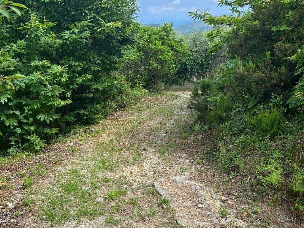 Terreno a Quiliano in Via Vaccamorta - Foto 4