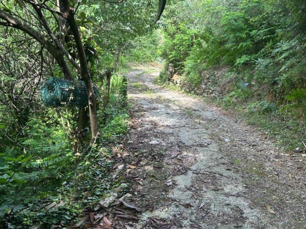 Terreno a Quiliano in Via Vaccamorta - Foto 5