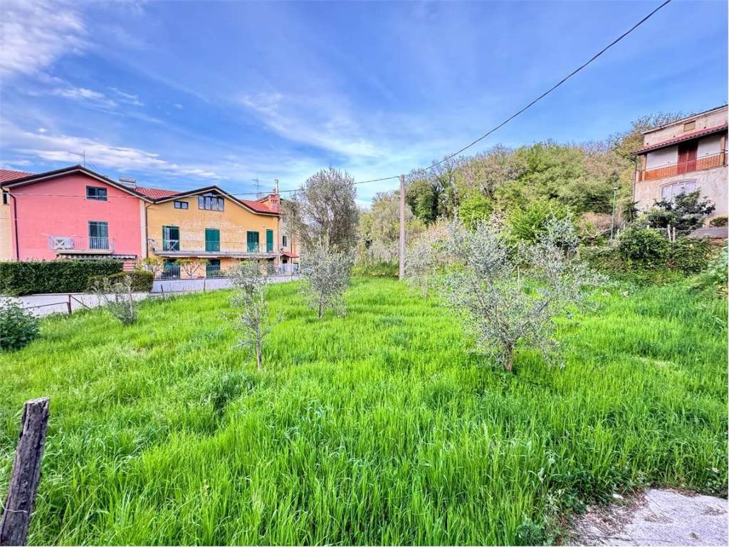 Terreno a Vallo della lucania - Foto 5