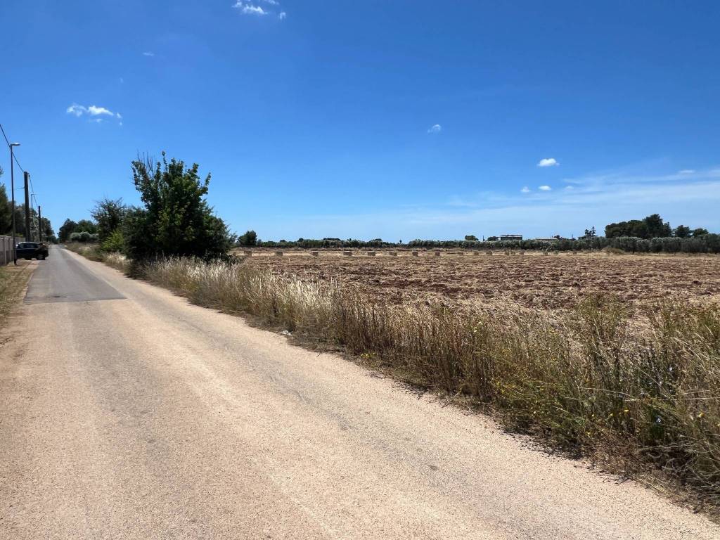 Terreno a Manduria in Via delle Tuberose, 81 - Foto 4