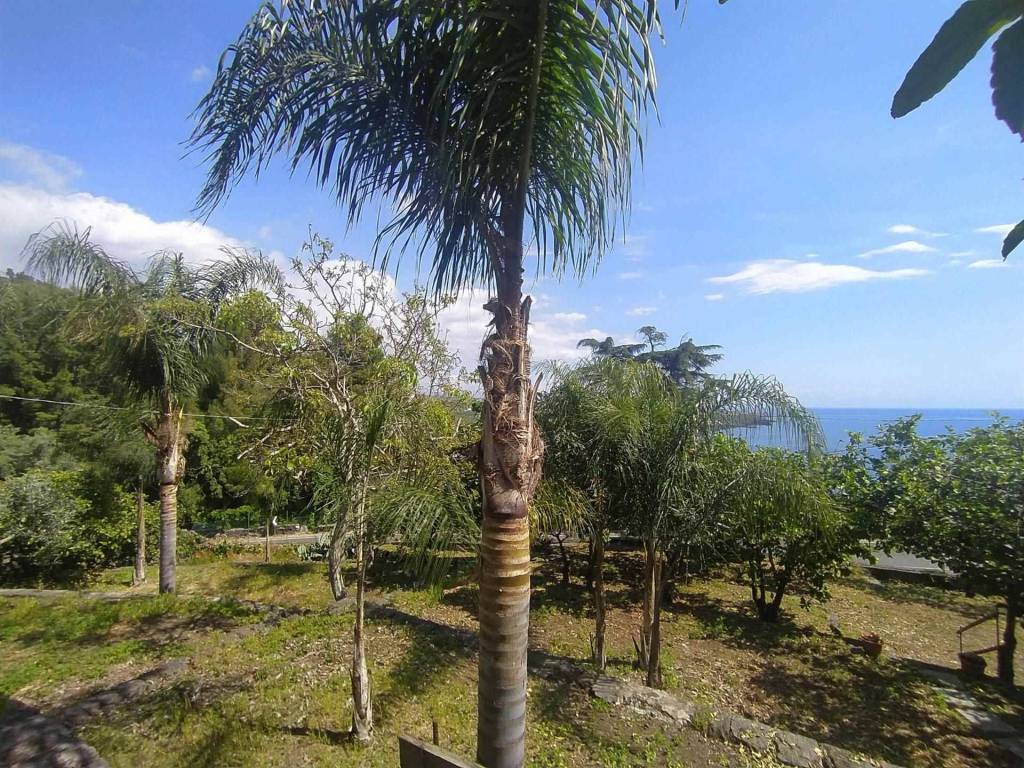 Terreno a Acireale - Foto 4