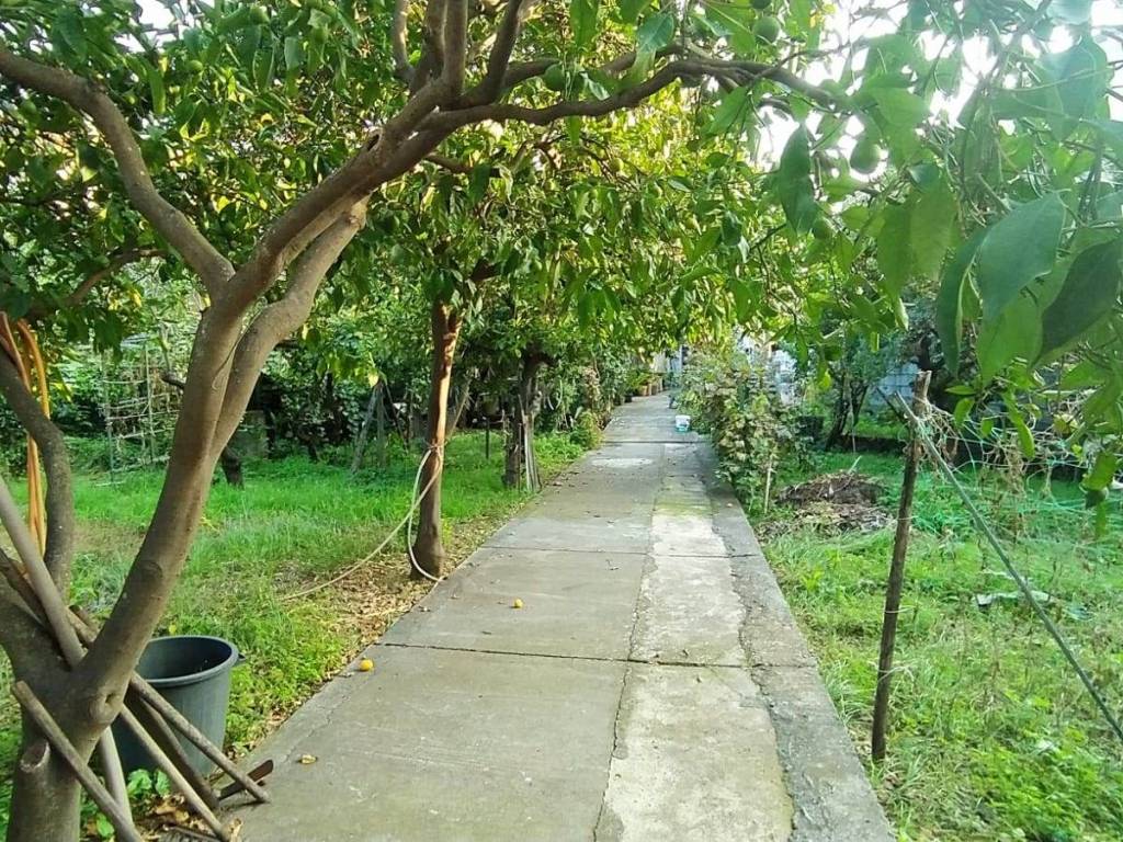 Terreno a Acireale - Foto 5