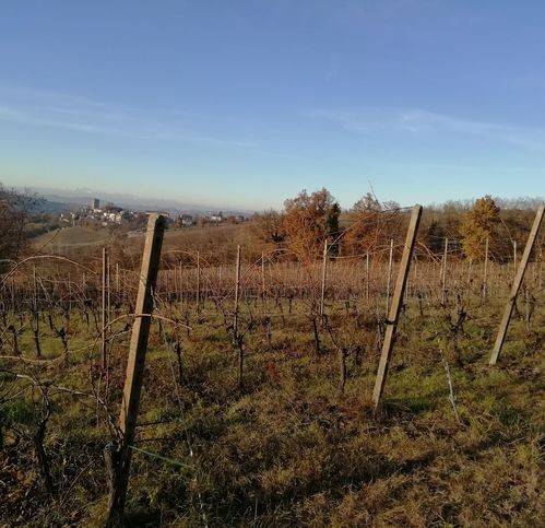 Terreno a Santa maria della versa in Strada Provinciale 42 - Foto 4