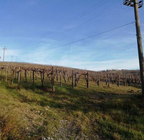 Terreno a Santa maria della versa in Strada Provinciale 42 - Foto 5