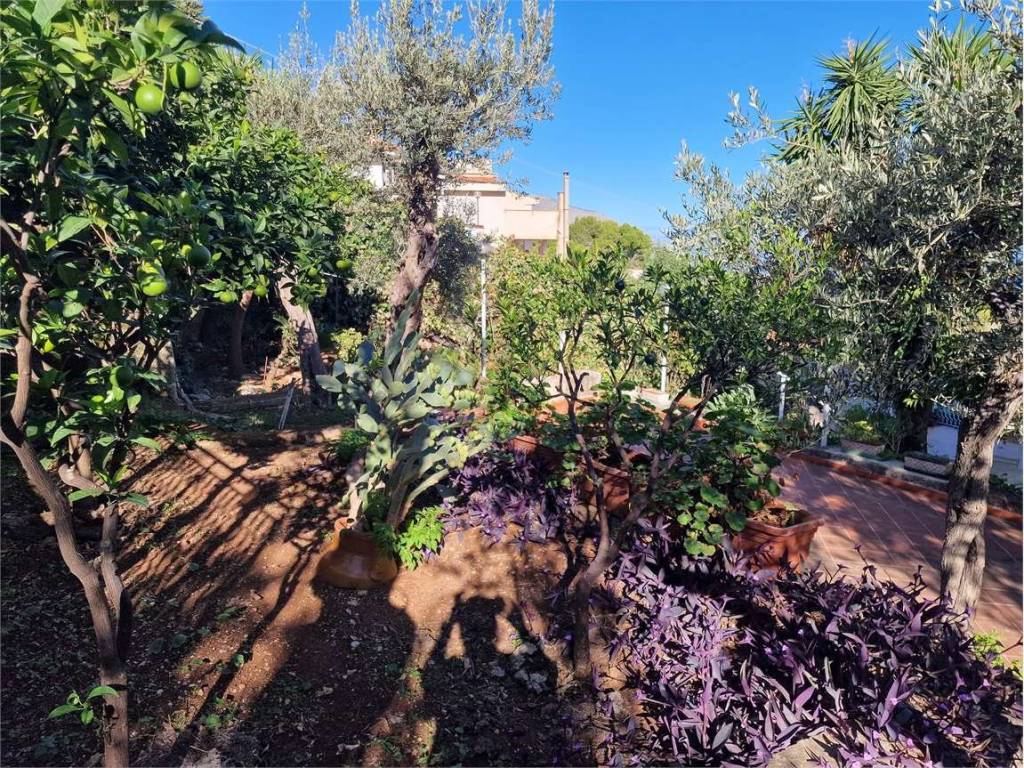 Villa a Carini in Via Francesco Cangialosi, 140/142 - Foto 4