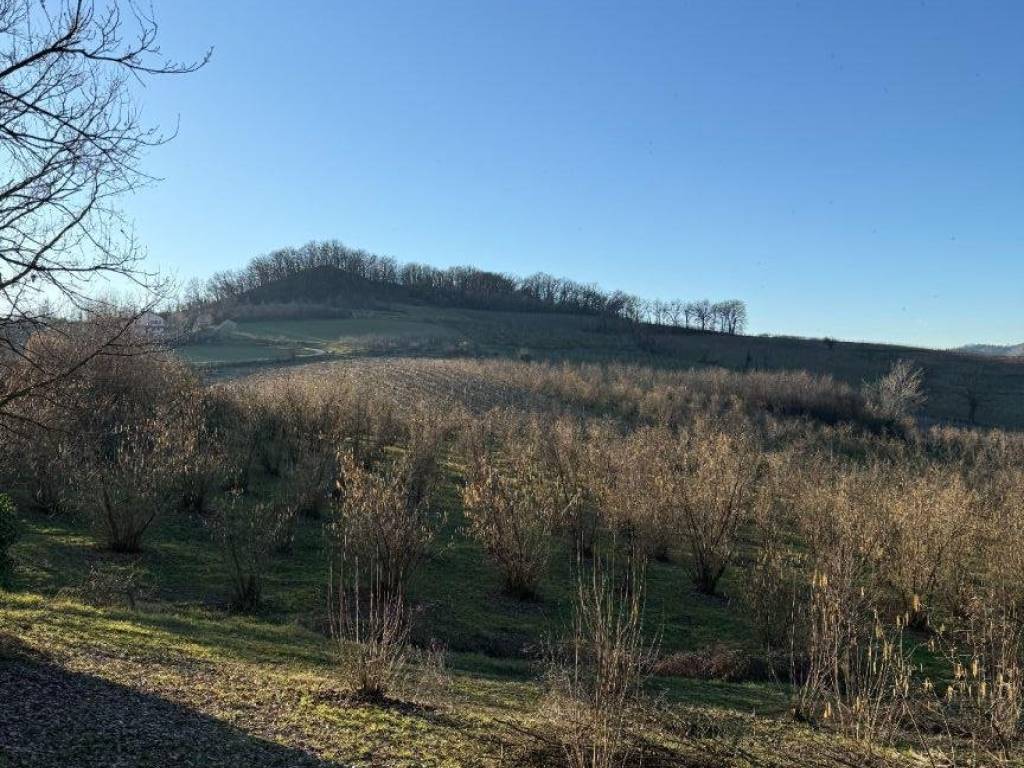 Terreno a Alba in Strada Borghino, 39 - Foto 2