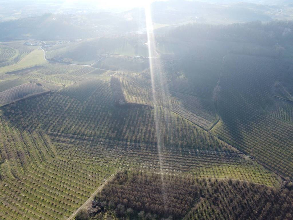 Terreno a Alba in Strada Borghino, 39 - Foto 3