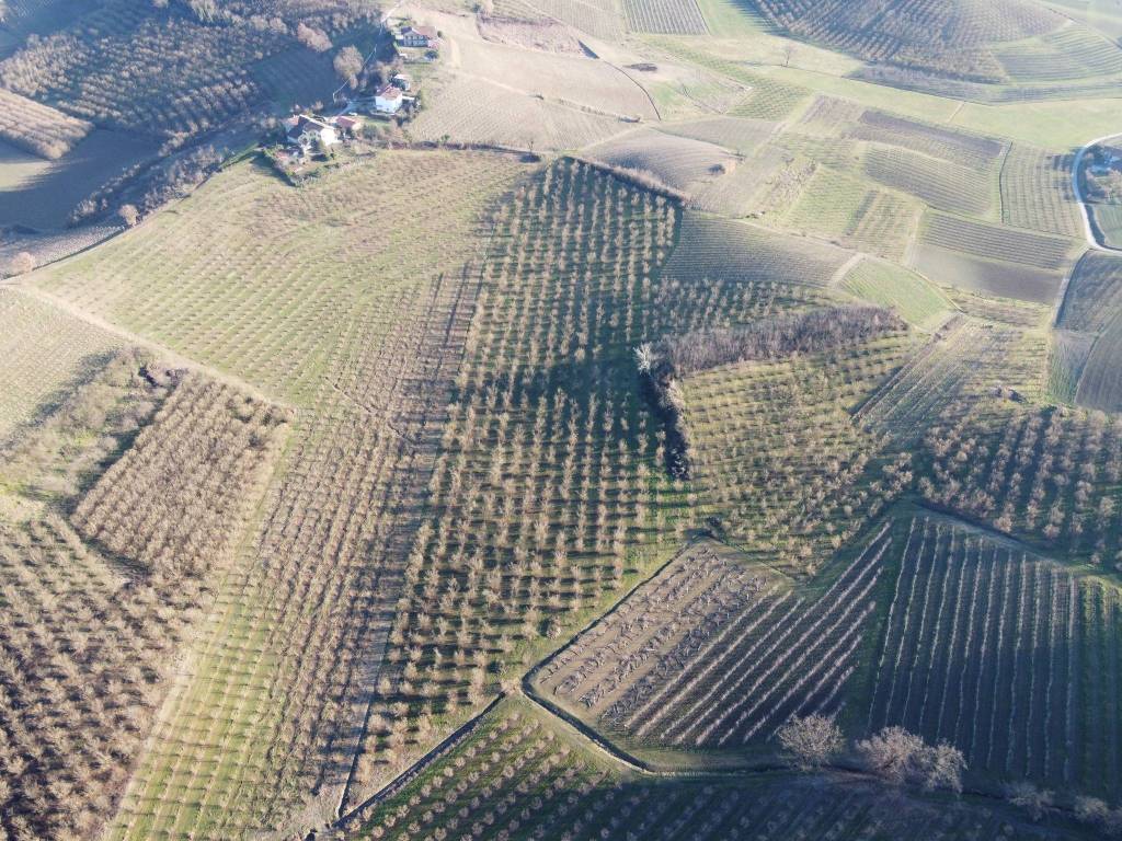 Terreno a Alba in Strada Borghino, 39 - Foto 5