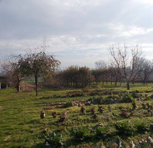 Rustico / casale a Castel san giovanni in Strada Castel San Giovanni - Foto 5