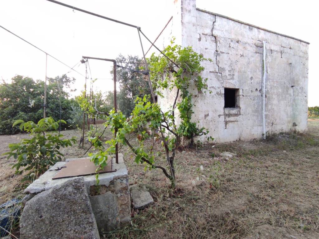 Rustico / casale a Cutrofiano in Via Roma - Foto 2