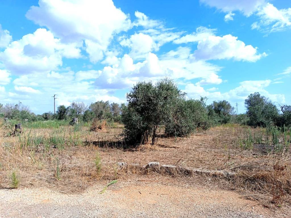 Terreno a Andrano in Strada Comunale Masseria Nuova - Foto 2