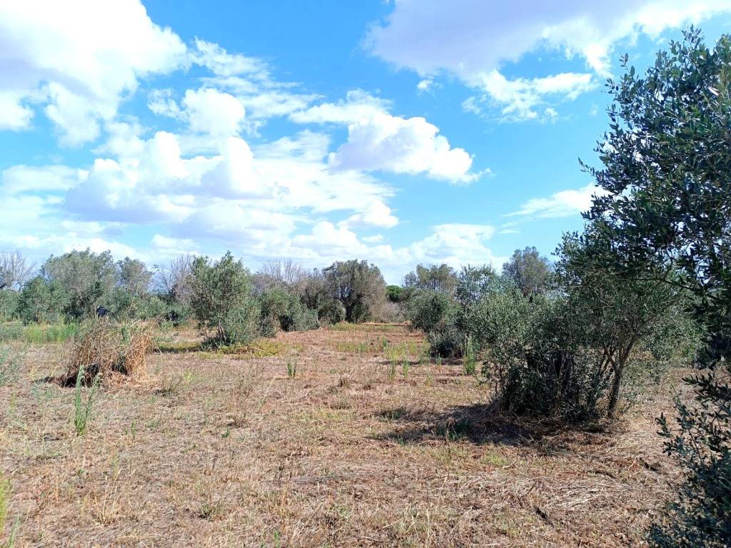 Terreno a Andrano in Strada Comunale Masseria Nuova - Foto 3